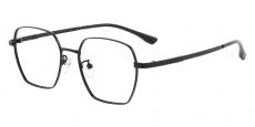 Hopkins Geometric