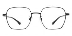 Hopkins Geometric