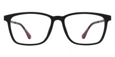 Sanger Rectangle